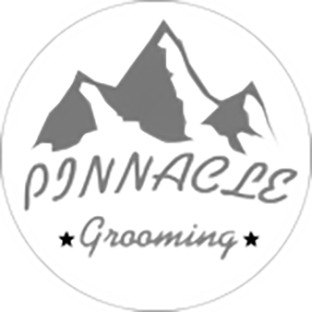 Pinnacle