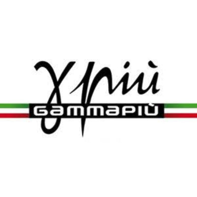 Logo GammaPiù - Barbaebaffi.it